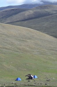 A remote camp in north west Nepal used to find snow leopard