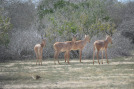 Without Biodiversity, There is No Net Zero
