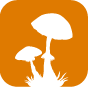 Fungi Case Studies